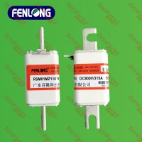 RSM01MZ110TN快速熔断器-FENLONG芬隆品牌