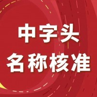 怎么样才能拥有国家局公司