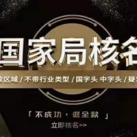 注册无区域市场监督总局核名的公司需要哪些条件