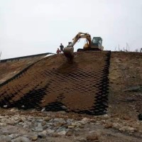 厂家供应 边坡填土种植蜂巢土工网格 矿山绿化蜂巢格室10厘米