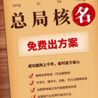 公司名称不带省市区划名称核准注册