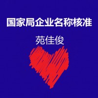 核准中字头国家局无区域公司名称