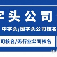 中字头公司名称注册流程费用