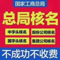 申请无地区无行业公司的办理流程  国家局核名