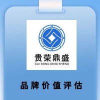 沈阳市品牌价值评估商标评估专利实缴评估软著出资评估