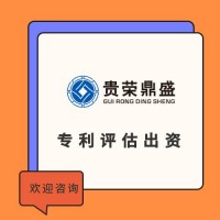 雅安市专利出资评估软著实缴评估商标价值评估知识产权评估