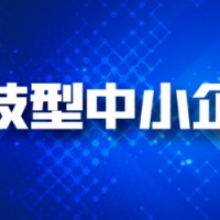 济南科技型中小企业可以享受什么税收优惠