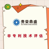 镇江市技术评估专利评估知识产权评估