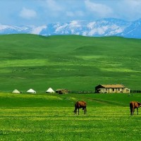 转让山西还没开采的煤矿转让新疆已开采一部分的煤矿转让