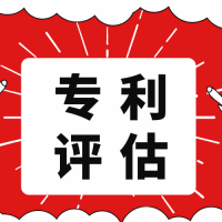 山东省淄博市专利评估注册资金评估技术评估