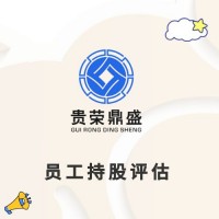 浙江省杭州市公司的无形资产怎么评估知识产权评估方法有哪些