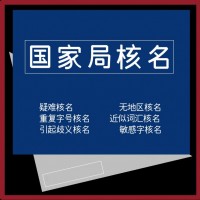 国家局公司升集团需要满足什么条件