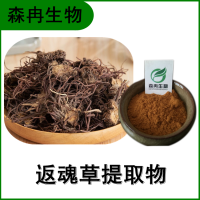 森冉生物 返魂草提取物 青苑提取物 植物提取原料粉