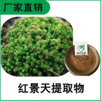 森冉生物 红景天提取物 红景天甙 植物提取原料粉