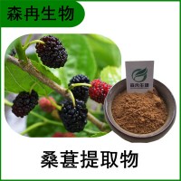 森冉生物 桑葚提取物 桑葚果粉 桑果提取物 植物提取原料粉