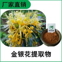 森冉生物 金银花提取物 忍冬花提取物 植物提取原料粉