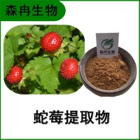 森冉生物 蛇莓提取物 蛇含草提取物 植物提取原料粉