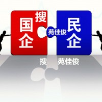 民营企业混改国有企业名下的流程条件