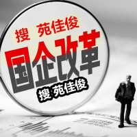 央企混改方式办理步骤所需费用