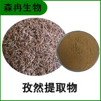 森冉生物 孜然提取物 马芹子浓缩粉 植物提取原料粉