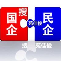 央企混改办理方式央企代持民营股份的要求