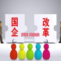 国有企业混改民营企业的模式流程方案