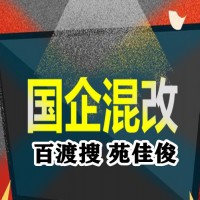 国企混改国企对私企的要求费用监管方式