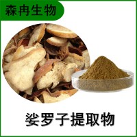 森冉生物 娑罗子提取物 索罗果浓缩粉 全水溶原料粉