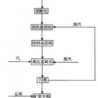 巩义铂思特高铅金精矿浸出金的工艺，含铜金精矿焙烧浸出工艺