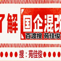 国企混改国有企业与民营企业混改方式步骤