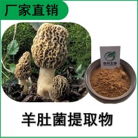 森冉生物 羊肚菌提取物 羊肚菌多糖 羊肚菜提取物