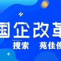 国企混改国有企业当民营企业股东的优势