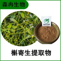 森冉生物 槲寄生提取物 北寄生提取物 植物提取原料粉