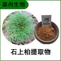 森冉生物 石上柏提取物 梭罗草提取物 植物提取原料粉