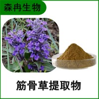 森冉生物 筋骨草提取物 白毛夏枯草提取物 全水溶原料粉