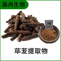 森冉生物 荜茇提取物 椹圣提取物 全水溶原料粉