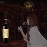 IRENENA红酒温碧霞自创品牌进口法国葡萄酒海潮歌慕干红