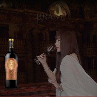 IRENENA红酒温碧霞自创品牌进口智利葡萄酒美娜干红